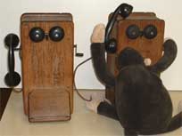 Monkey's old "toy" phones.