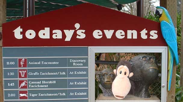 Zoo events