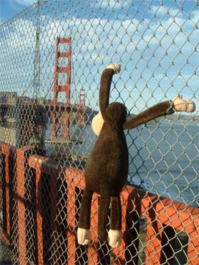 Climbing the bridge (fence).
