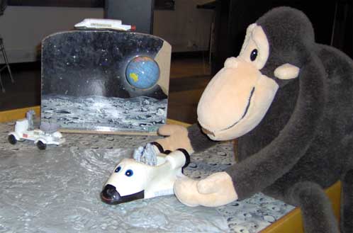 Monkey plans his next vacation.