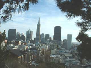 SFO Cityscape