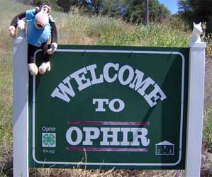 Welcome to Ophir sign