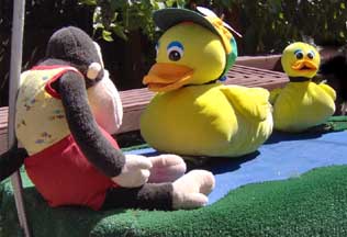 Face to face with duckies.