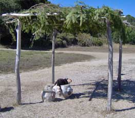 Ramada shade structure