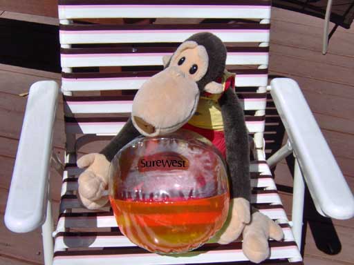 SureWest beach ball