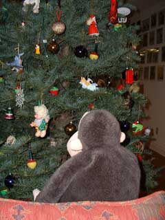 Monkey sees an angel on the tree.