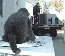 Meanwhile, Paul unloads the new A/C.