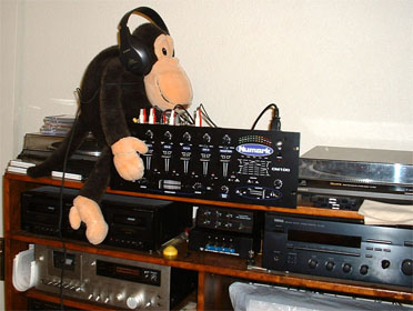 Get off that amp, you ape!