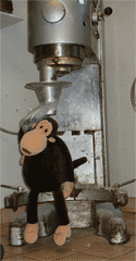Monkey rides the mixer's breadhook.