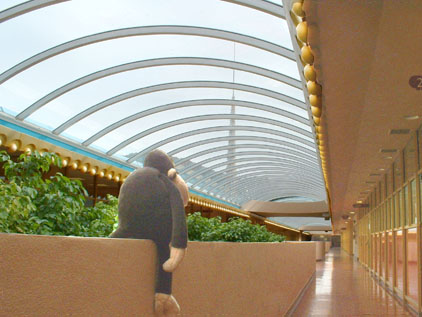 Monkey ponders the Civic Center skydome
