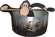 Monkey shows how giant pot would make great hot-tub