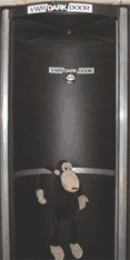 Monkey rides the rotating darkroom door.