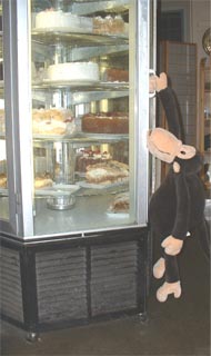 Climbing the Pastry Case