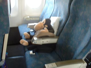 Monkey always books a middle seat.