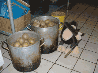 Bottomless pot of potatoes.