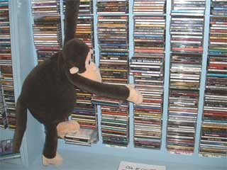 Monkey scales the mountain of CDs.
