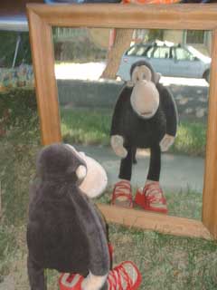 Checking himself out in the mirror