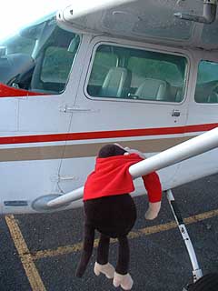 Hanging from a wing strut.